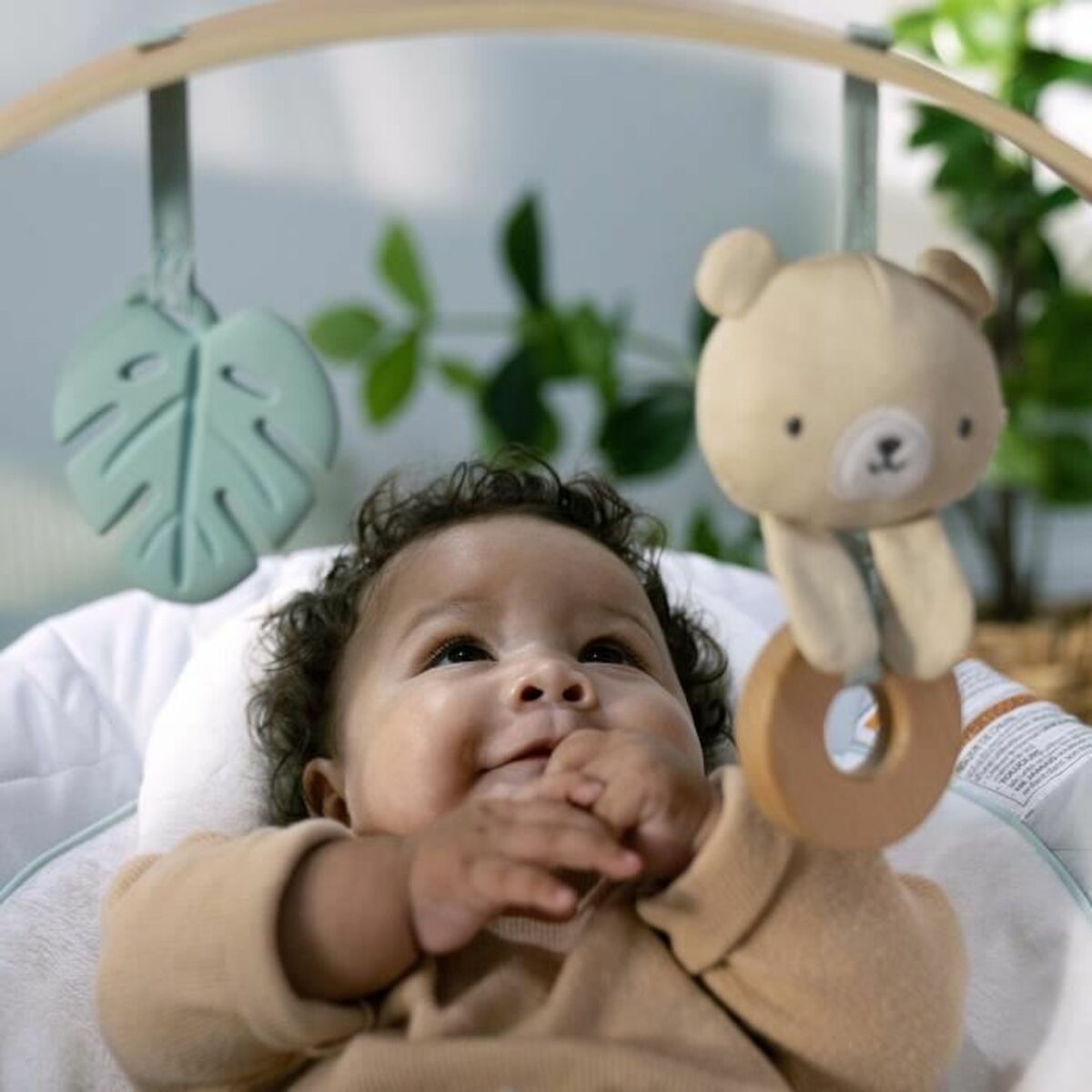 V4HD45B5E2AAC654961DA2F828EFA74E0BAR6738635P2