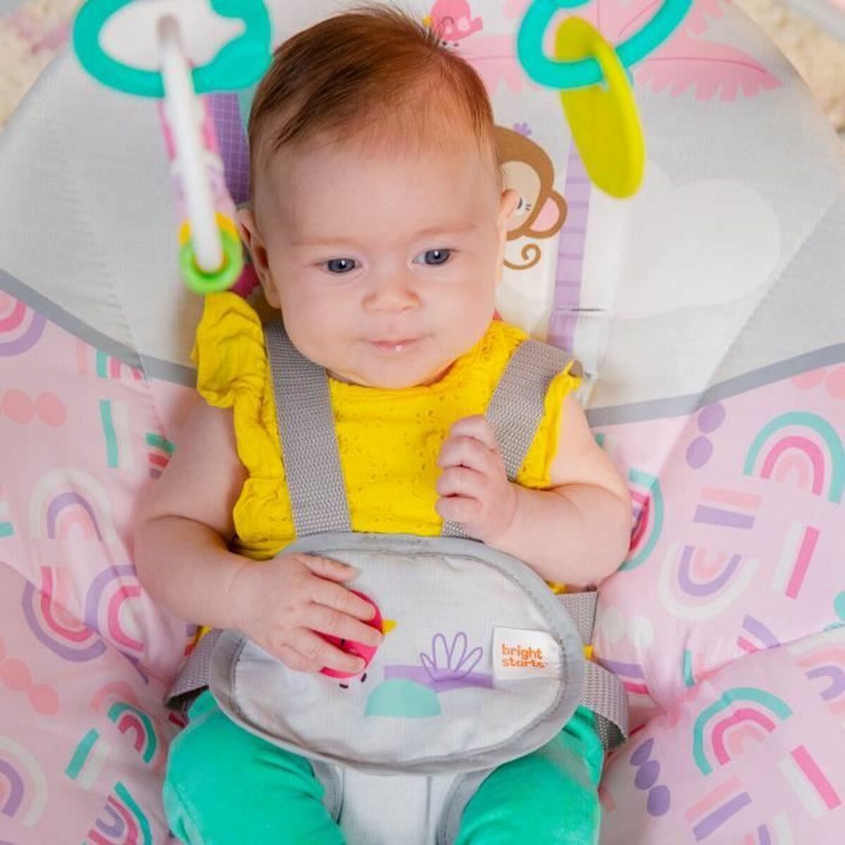 V6H4E917204616C34C1D553E505AE4F885AR4224525P3