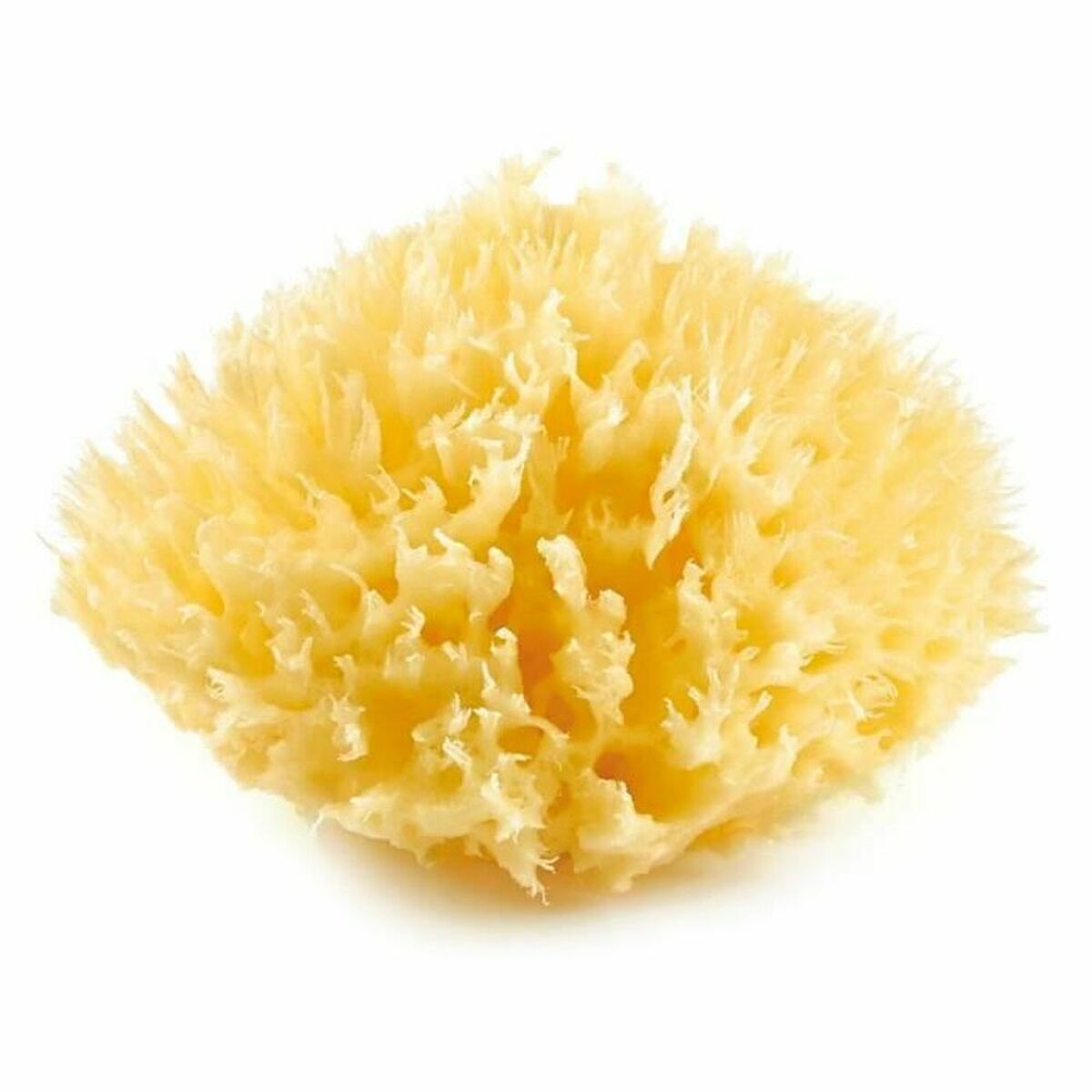 V4HE138F2E74189E54B484F75859B1FAEC6R7120747P1