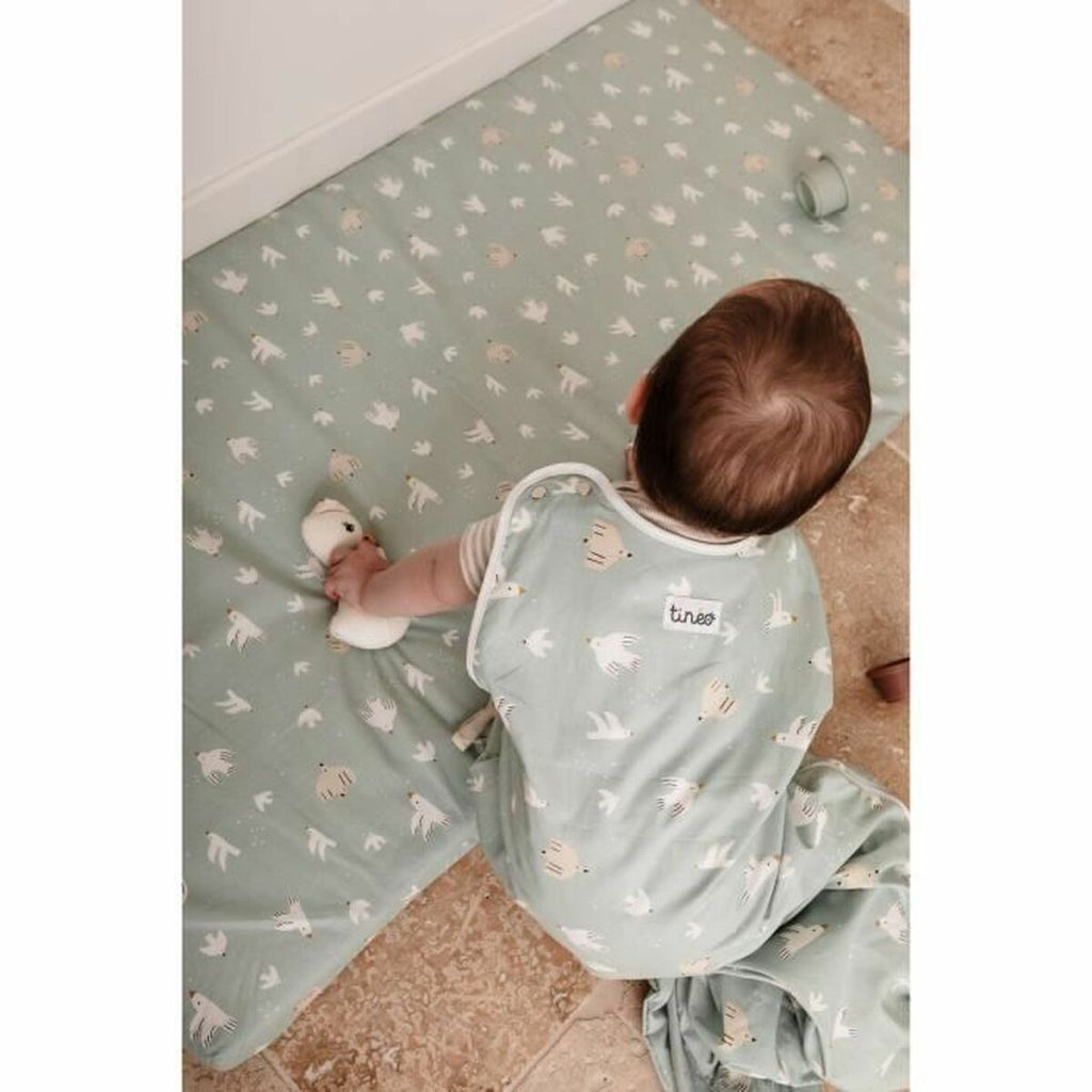 V3H53B32B3ED9C9B2FB57346248EB0A17ADR5774554P6