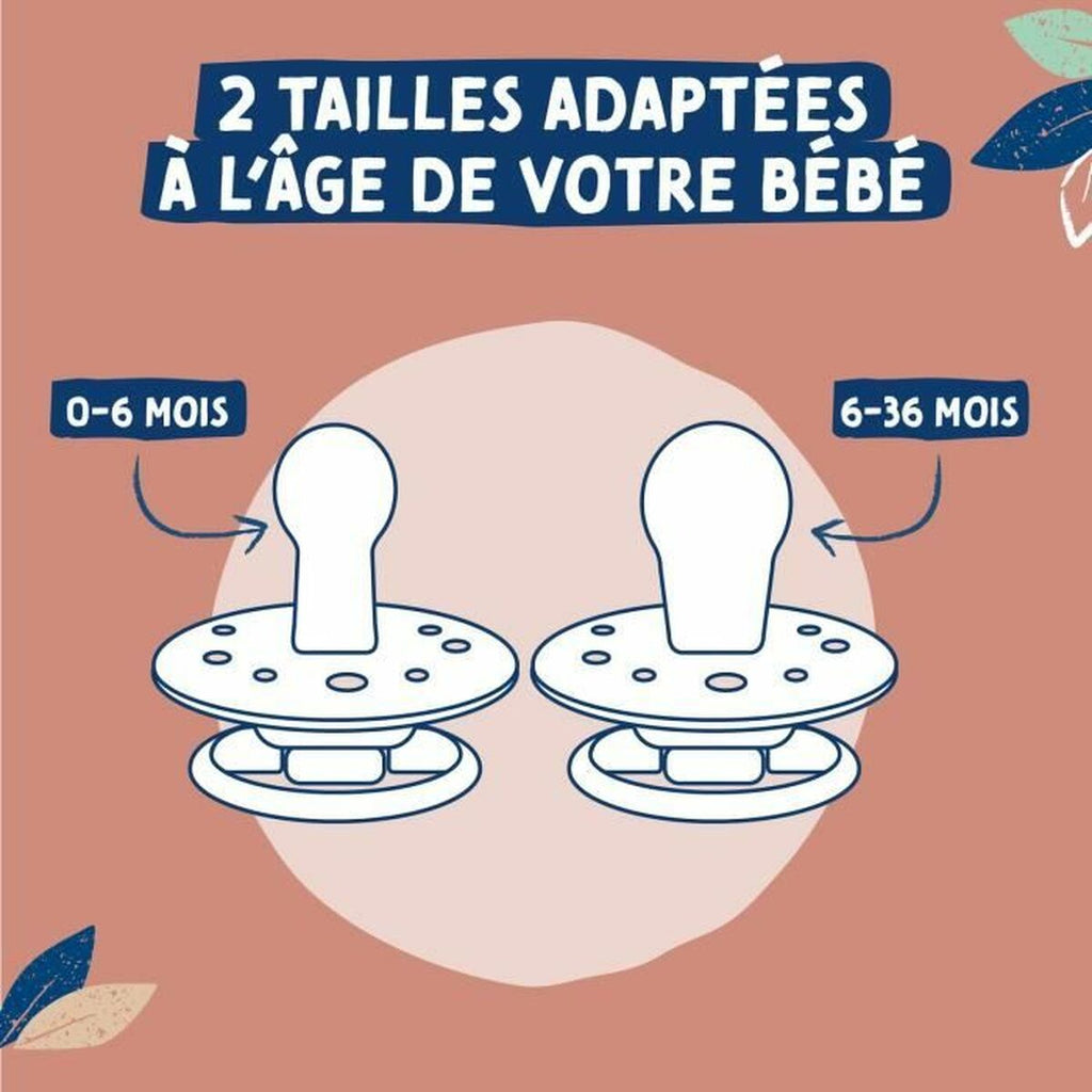 V3H66F0081072398AAD71AA1F4848B1D266R5774088P5